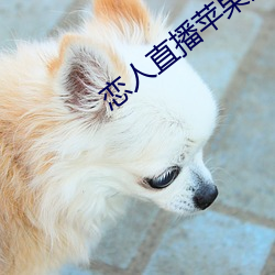918博天堂·(中国)手机版客户端