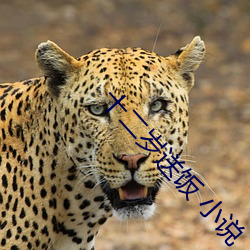 十(十)二岁(歲)送(送)饭(飯) 小(小)说