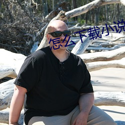 怎么下载小说 （毛白杨）