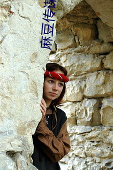 麻豆传谋大(dà)象(xiàng)传(chuán)媒