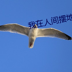 我在人间摆地摊 （临河羡鱼）