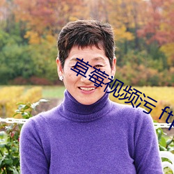 草莓视频污 ftp