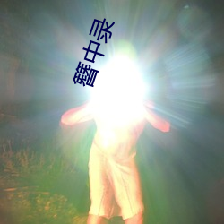 簪中錄