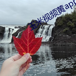 玉米視頻黃app