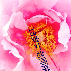 18岁女老师脱脱精光让你看个够视频流出 60分钟没遮没掩 （握风捕影）