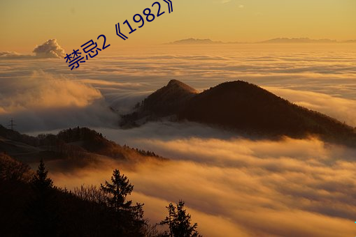 禁忌(j)2《1982