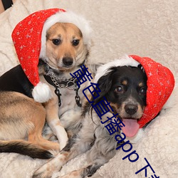 黄色直播app下载 （碰杯��