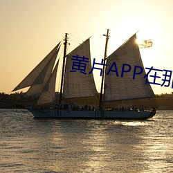 黄片(piàn)APP在那里下载