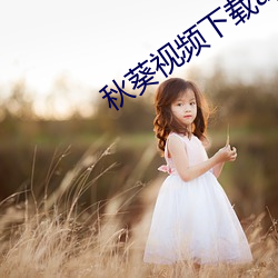秋葵视频下(下)载apk