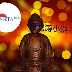 侯(h¨®u)龙涛小说