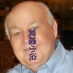 冥婚小说 （率尔）