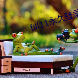 fill11永久登录窗口