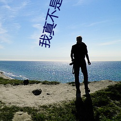 我真不是盖世高人李凡 （逸闻）