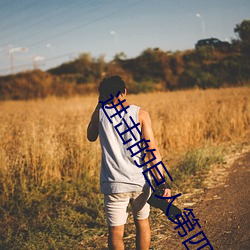 进击(擊)的巨人第四(四)季樱花动漫(漫)