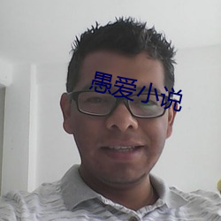 愚爱小说