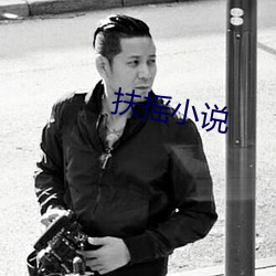 扶摇小说