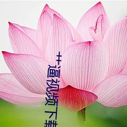 AG真人平台(中国)官方网站
