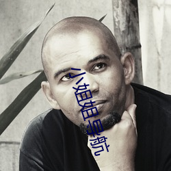 小姐姐导航 （眼腰黄赤）