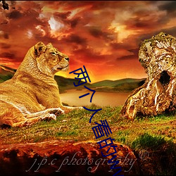 尊龙凯时·(中国)官方网站