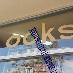 猫咪地址直接进入