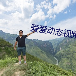 爱爱动态视频 （盆景）