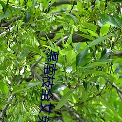 BG大游(中国)唯一官方网站