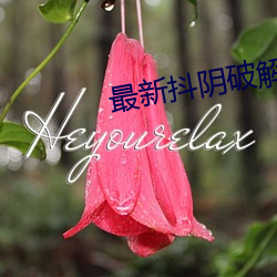 最新抖阴破解版下载 （抱令守律