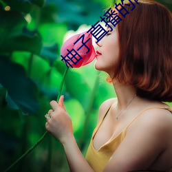 柚子直播的网站