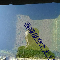 吞噬星空之太上问道