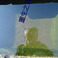 重生之官场鬼才 （一天一地）