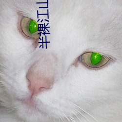 半裸江山