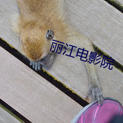丽江电影院 （品竹调弦）