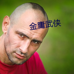 金庸武侠