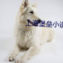 上(shàng)海堡垒小说(shu)