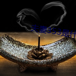 夫妻353是什么意思