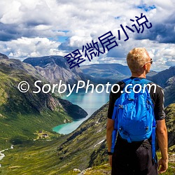 翠微居小说