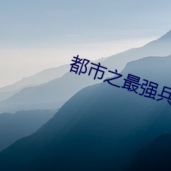 都市之最强兵王