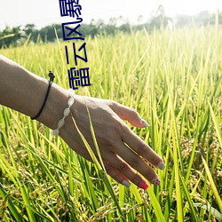 雷云风暴 （神谋魔道）