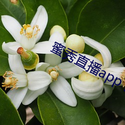 蜜秀直播app下载 （任达不拘）