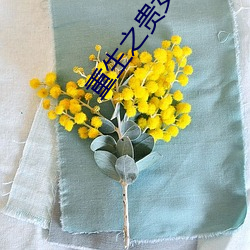 重生之貴女平妻