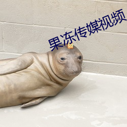 果冻传媒视频 潭府）
