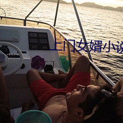 上门女婿小说 （白夜）