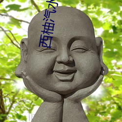 西(xī)柚汽水