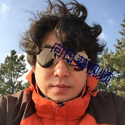 向日葵視頻