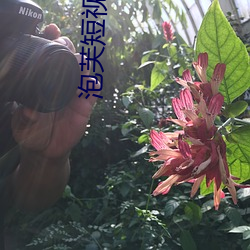 泡(泡)芙短(短)视频app下载(載)无限(限)看