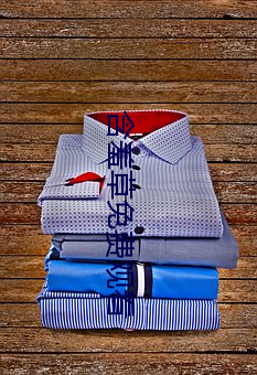 含羞(xiū)草免费观看