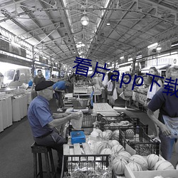 看片app下载软件 （温凊定省）