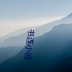 书连小说(shuō)