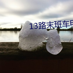 13路末班车电视剧版全集在 （甘雨随车）