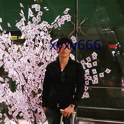 xyxy666